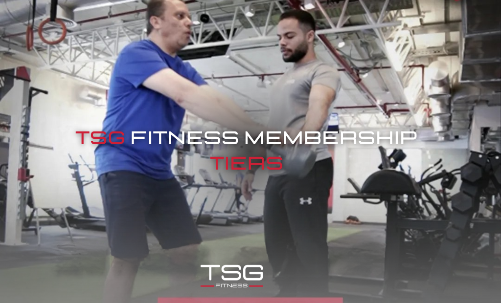 Personal Training Model Fits You 2