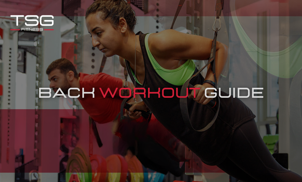 Back Workout Guide